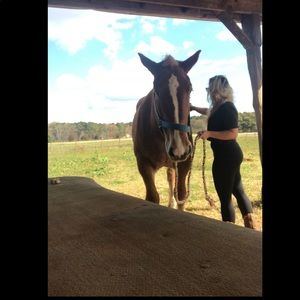 Just for size reference